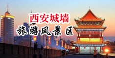 阴毛淫水臀呻吟视频中国陕西-西安城墙旅游风景区